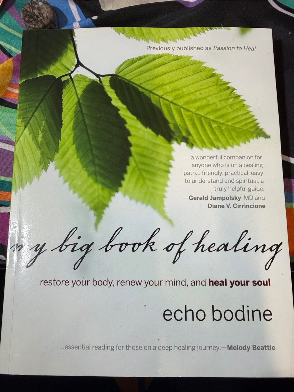 Echo Bodine My Big Book of Healing - Green Cover